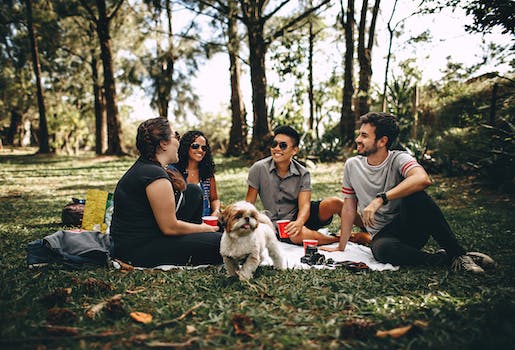 Buffalo Bayou Park picnic areas