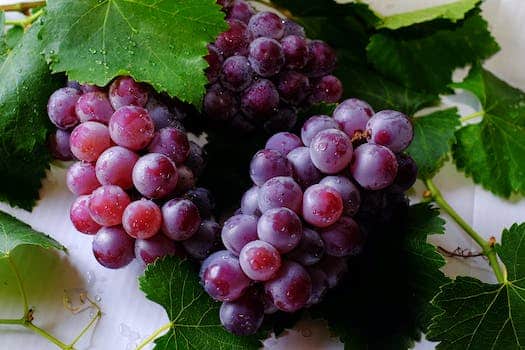 Experience grape stomping, wine tasting, and indulgence on a Fredericksburg escape