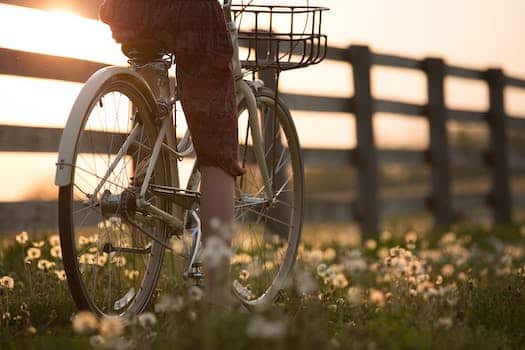 Buffalo Bayou Park bike rentals