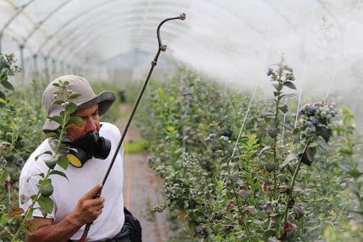 B.C. Scientist Resigns from National Pesticide Watchdog, Citing Illusion of Safety