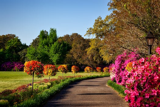 Gardens at The Museum of Fine Arts, Houston - Bayou Bend