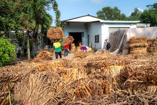 Maximizing Vegetable Harvests: Extending the Growing Season in Your Garden