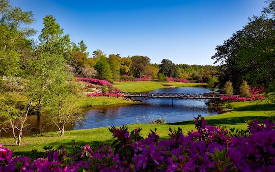 Ranking Reveals Winding Hill Country Road Tracks as Top Scenic Routes in the Country