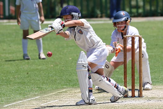 Cricket's Quest for a Foothold in the United States: Introducing its Own Major League